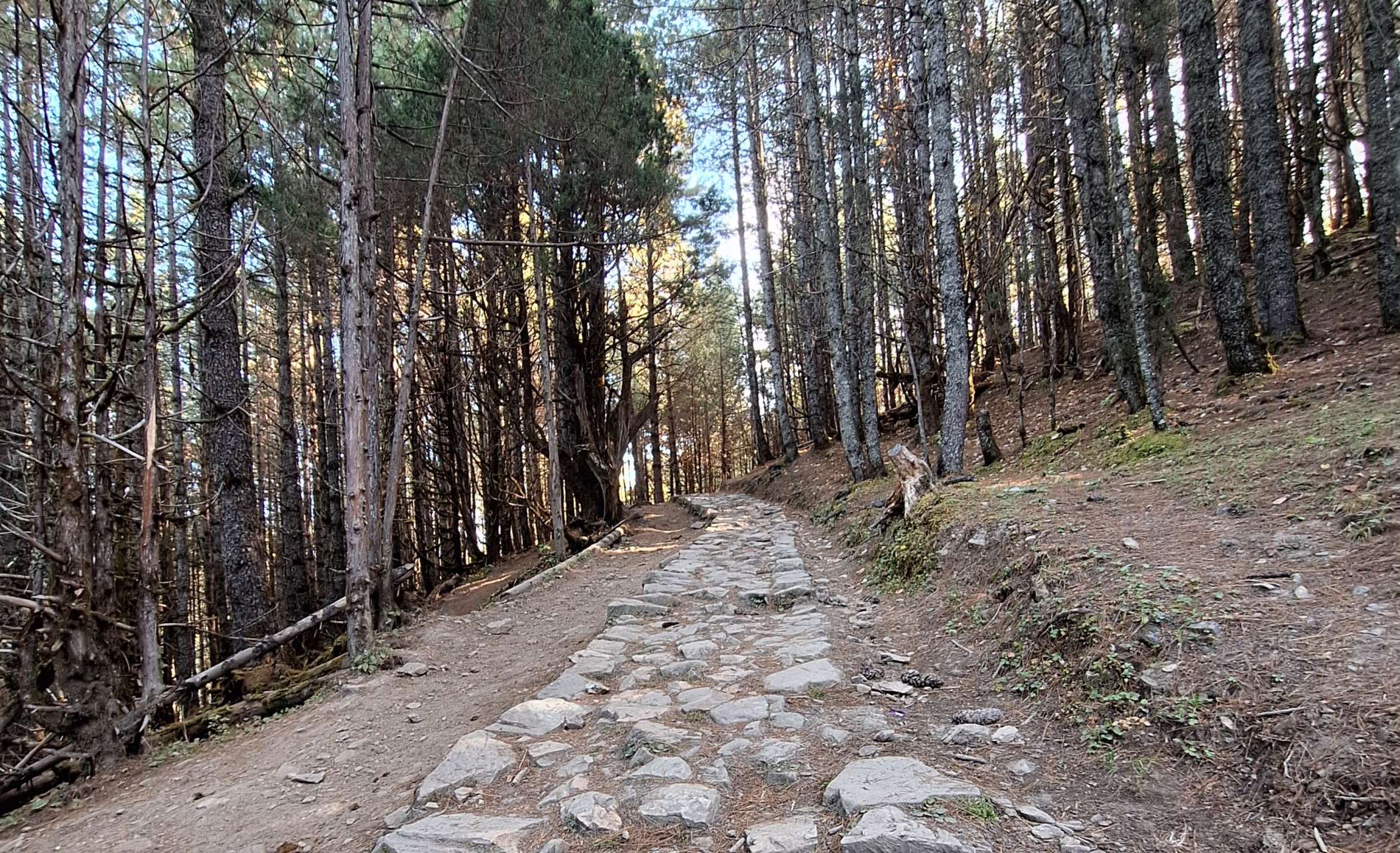 rara lake (1).jpg